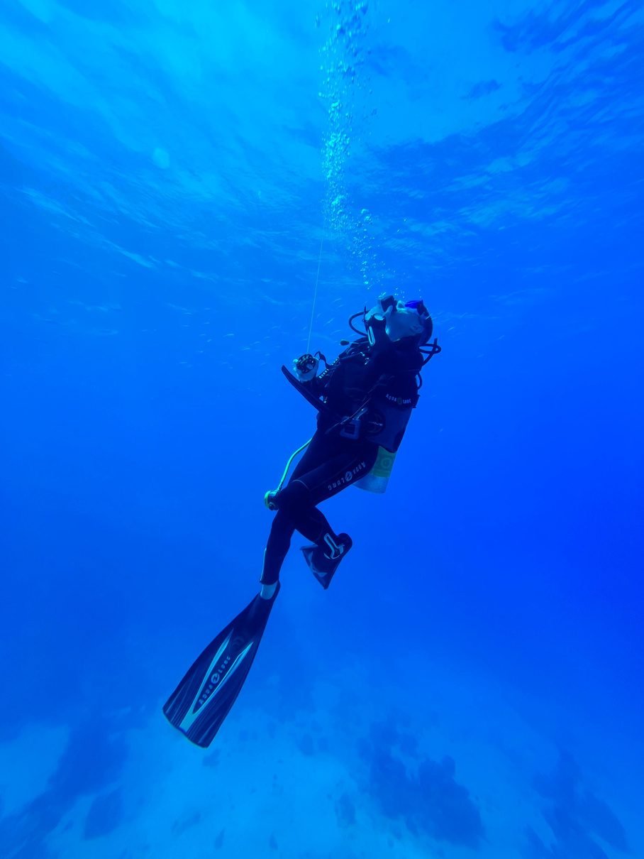 Scuba diver