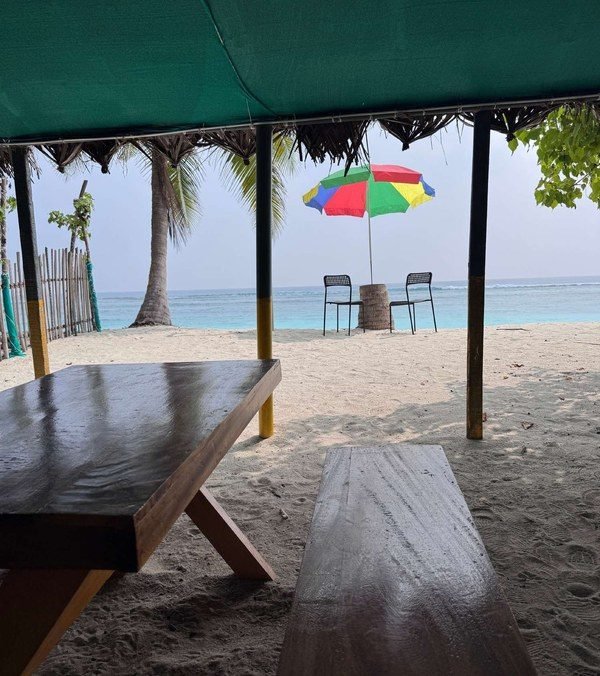 Beachside picnic seating